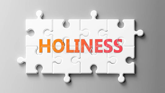 THE PROMISED HOLINESS THAT IS OUR DESTINY AND DELIGHT