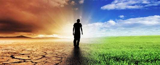 5 REASONS TO CHOOSE HOLINESS TODAY