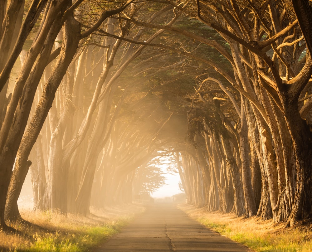 UNDERSTANDING GOD’S WAYS
