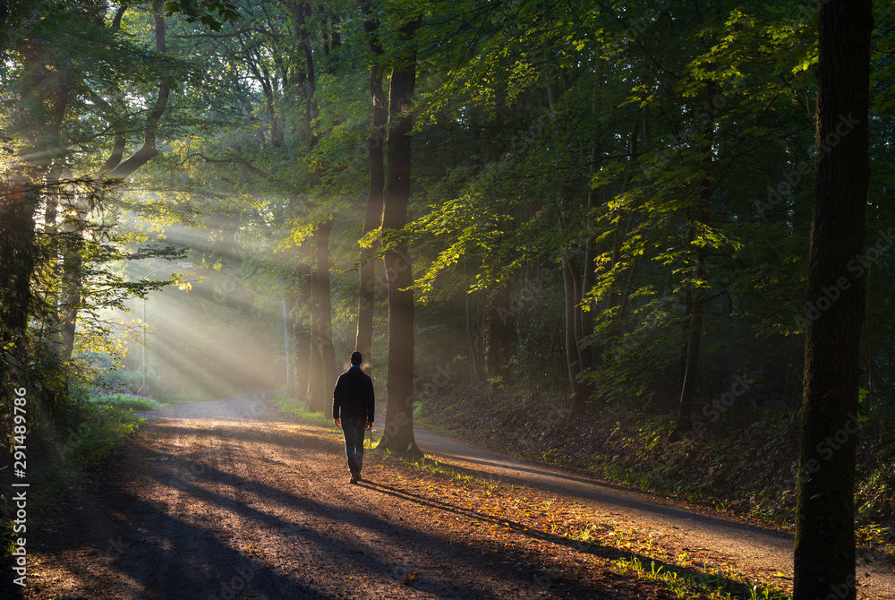 THE SIMPLICITY OF THE CHRISTIAN LIFE
