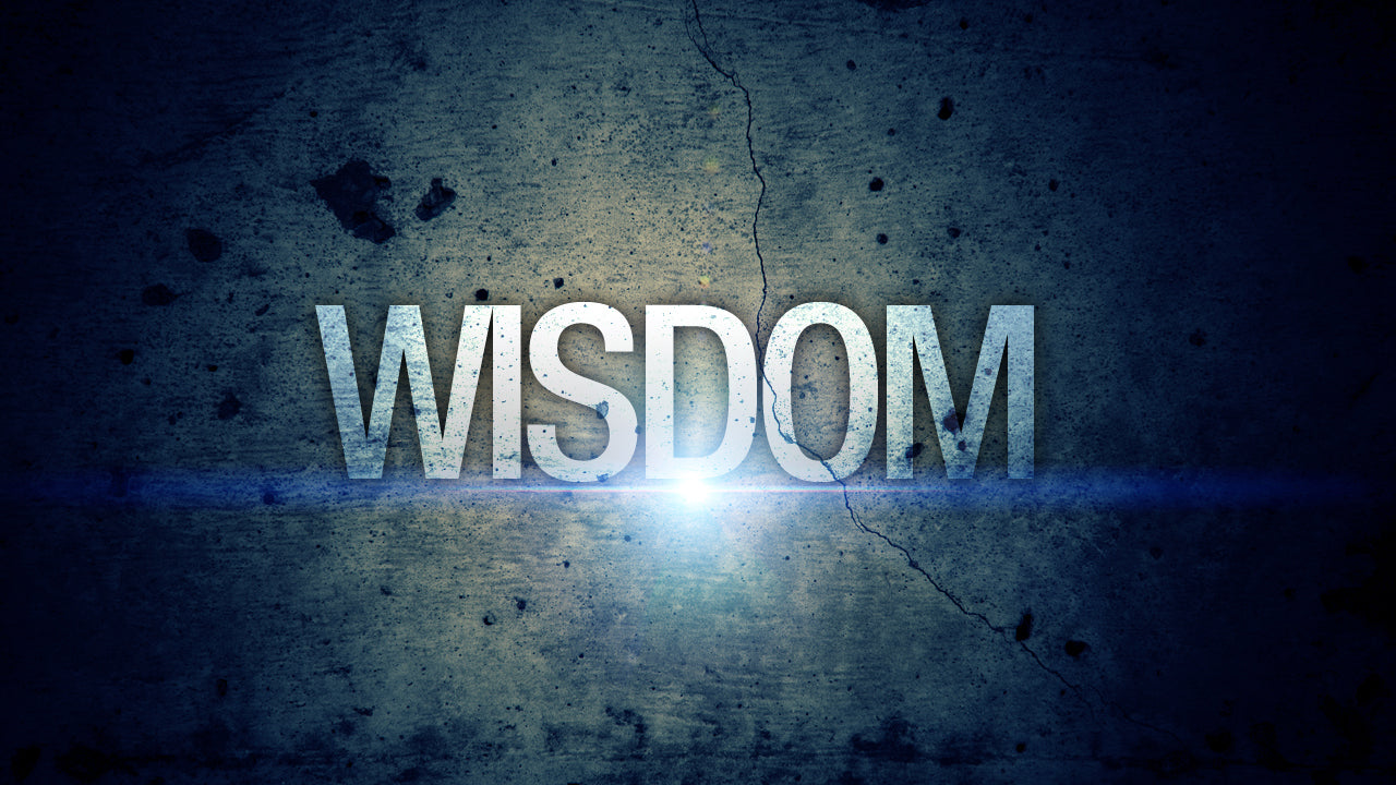 Motivational Wallpaper on Wisdom: The road of excess,leads to the palace of  wisdom - Dont Give Up World