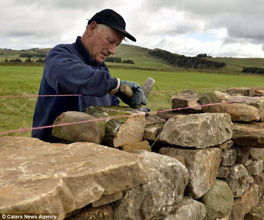 THE UNSTOPPABLE POWER OF AN UNDISTRACTED LIFE