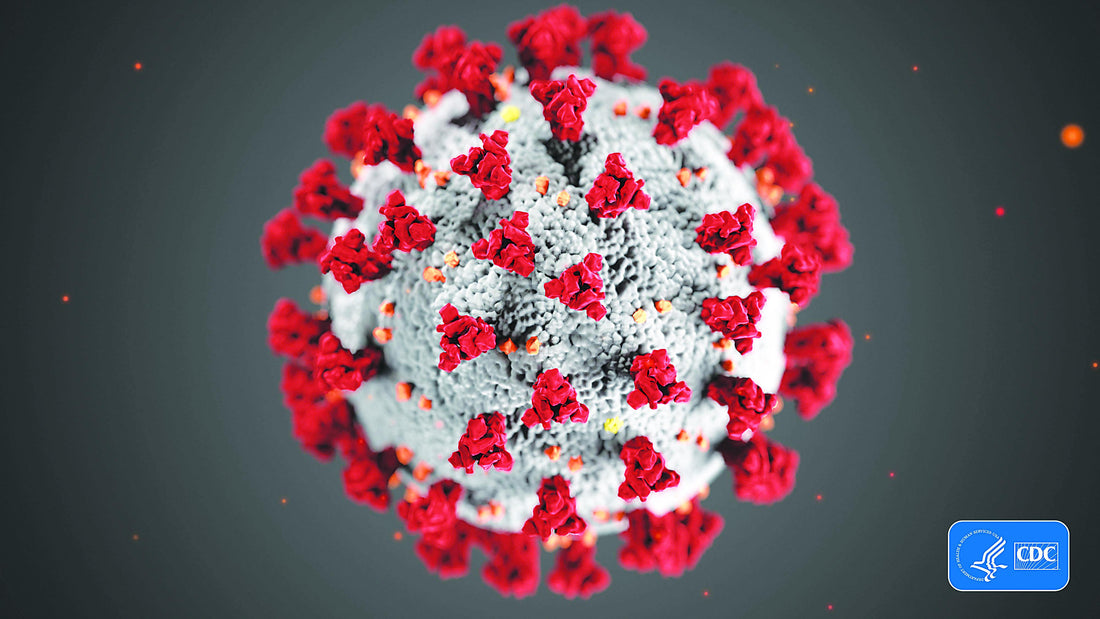10 Spiritual Observations During the Corona Virus