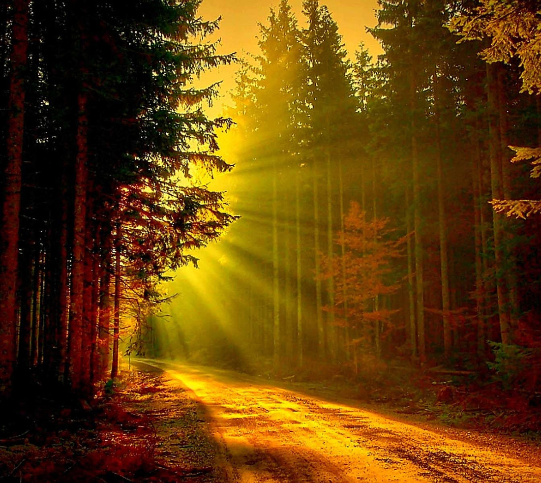 IS YOUR HEART A HIGHWAY TO HIM?