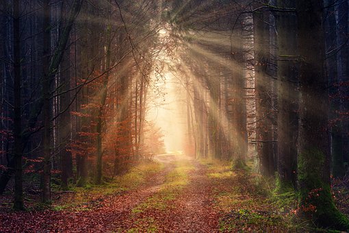 FINDING HOPE