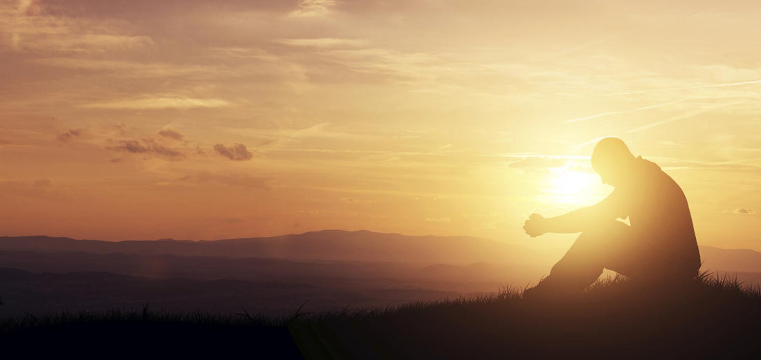 WHO SHOULD WE FOLLOW AND WHO MUST WE BE?