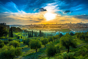 THE PROMISE, THE LAND, AND THE NATION OF ISRAEL