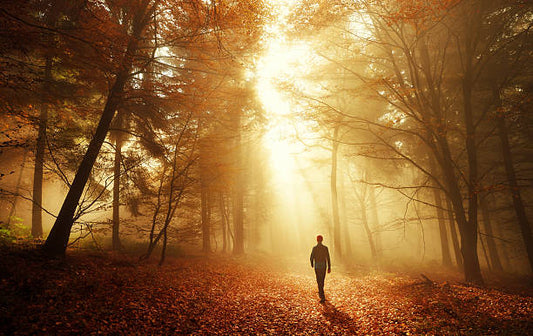 WALKING IN CHRIST