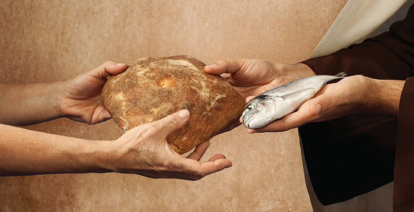 OUR DAILY BREAD PROVIDER