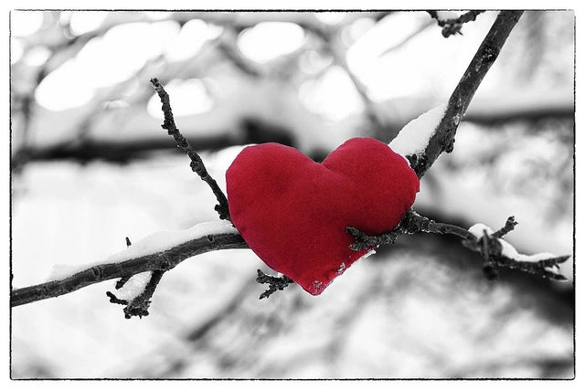 THE SIMPLEST, MOST SUCCESSFUL WAY TO LIVE