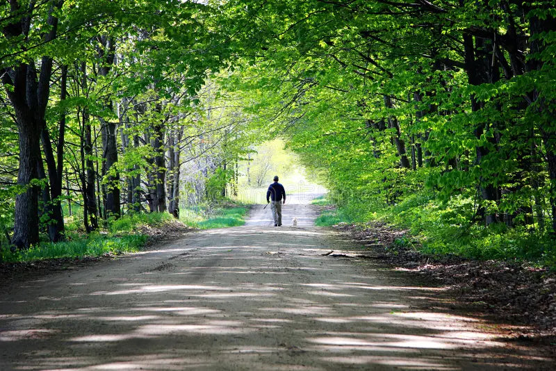 HOW YOUR OBEDIENCE FULFILLS GOD’S LOVING PLANS  Or, YOUR LIFE IS MORE IMPORTANT THAN YOU REALIZE