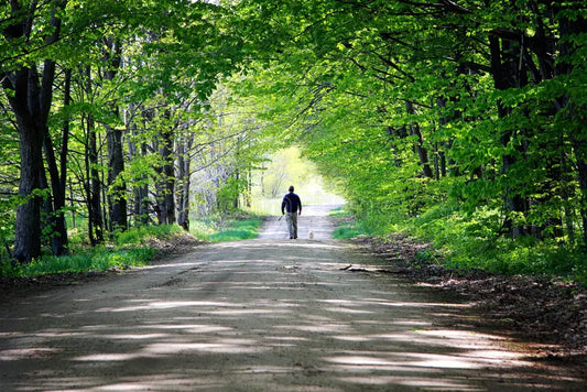 HOW YOUR OBEDIENCE FULFILLS GOD’S LOVING PLANS  Or, YOUR LIFE IS MORE IMPORTANT THAN YOU REALIZE