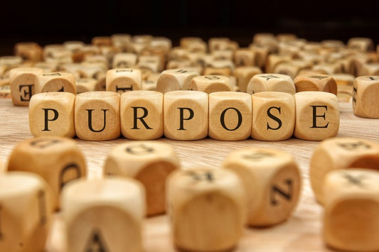HAVE YOU REJECTED GOD'S PURPOSE?