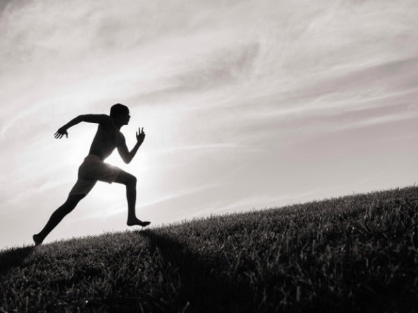 EMBRACING GOD'S TRAINING