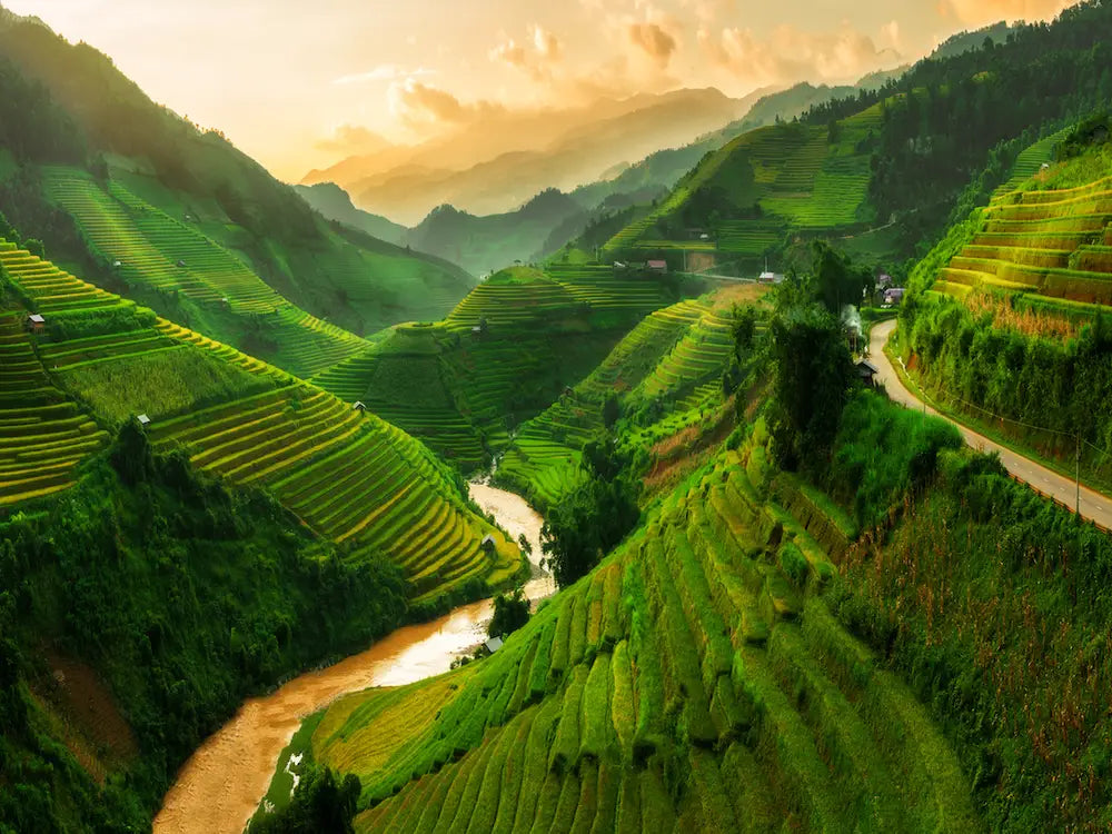The Stunning Kindness of our Great God