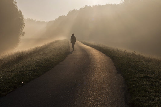 MY NEXT STEP THIS COMING YEAR ... and yours