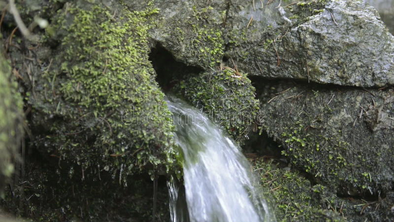 THE GOD WHO MEETS US IN OUR CRISIS