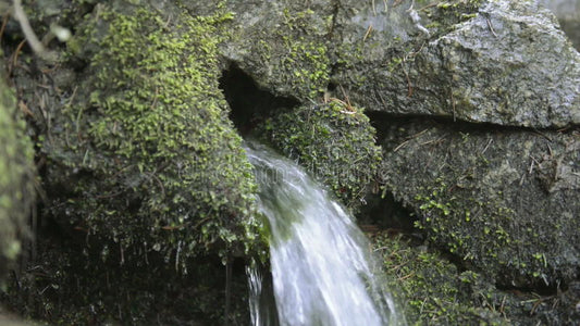 THE GOD WHO MEETS US IN OUR CRISIS