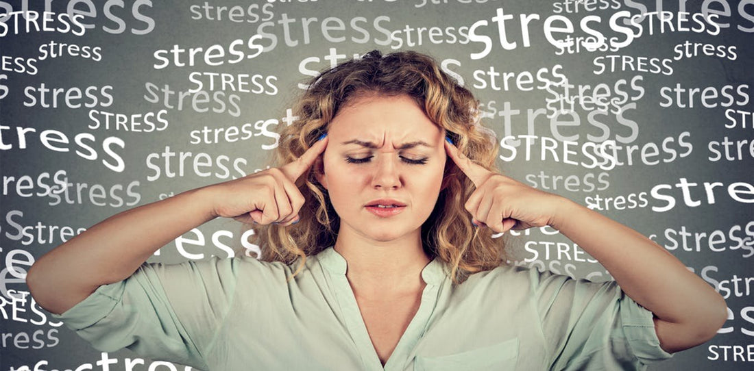 7 REASONS TO STOP WORRYING