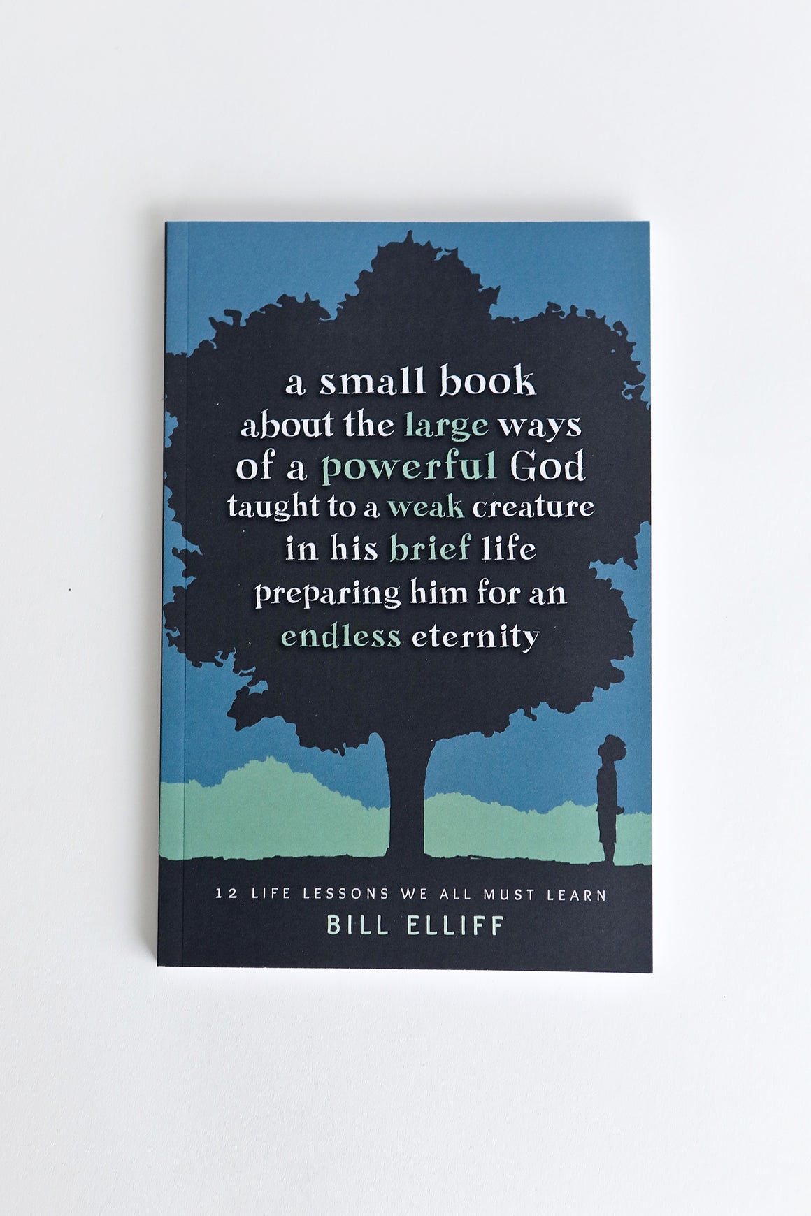 A Small Book...-Bill Elliff